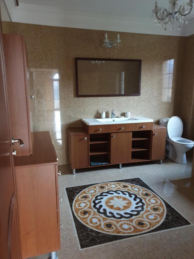 Vila Daria 3 Rucăr エクステリア 写真