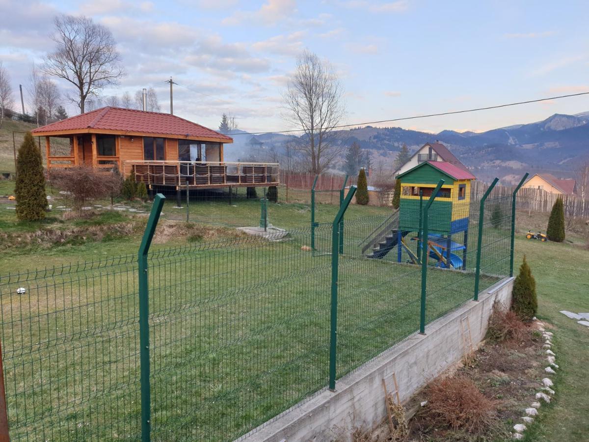 Vila Daria 3 Rucăr エクステリア 写真