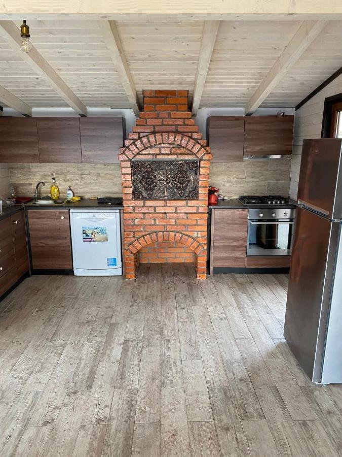 Vila Daria 3 Rucăr エクステリア 写真