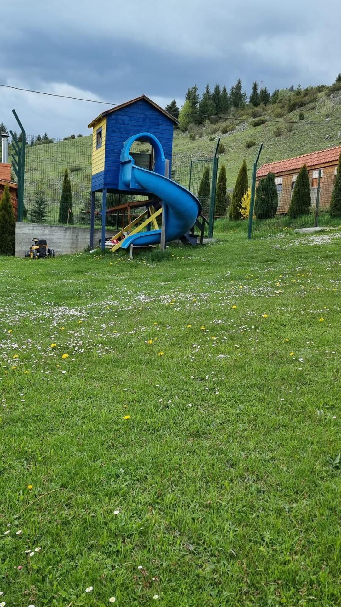 Vila Daria 3 Rucăr エクステリア 写真